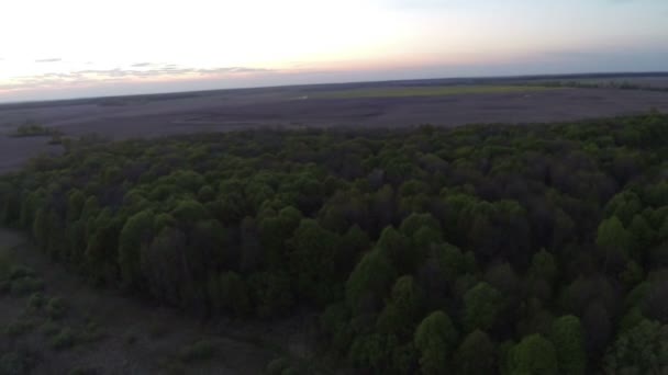 Wood , river and   red sunrise  .Aerial  panorama landscape - Footage, Video