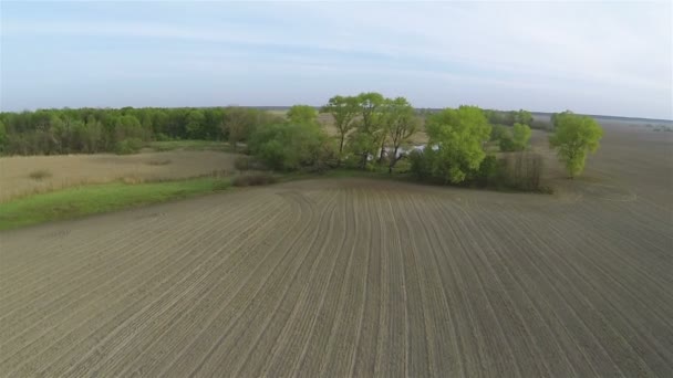 Over the opened rural  field and lake. Aerial - Footage, Video