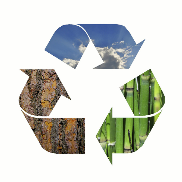 riciclare - Foto, immagini