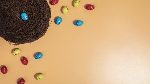 Pääsiäismunia korissa, väri levy alkuun liikkeen animaatio. Suklaa pääsiäismunat ryömivät pesä alkuun näkymä oranssi tausta, huhtikuu Holiday - Materiaali, video