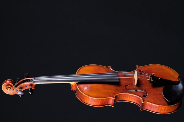 Violin Viola Complete Isolated On Black - Photo, Image