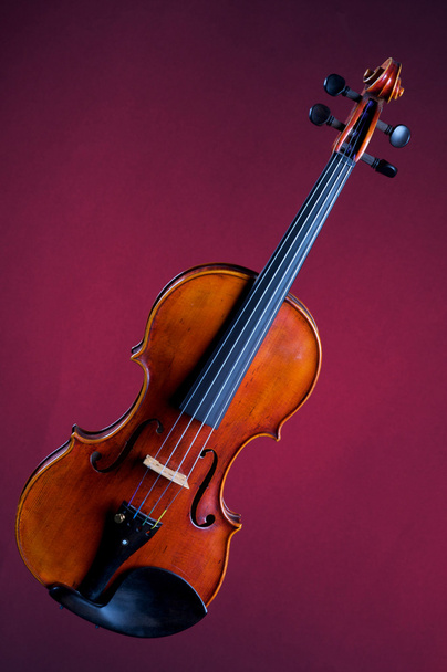 Complete Violin Viola Isolated on Red - Φωτογραφία, εικόνα