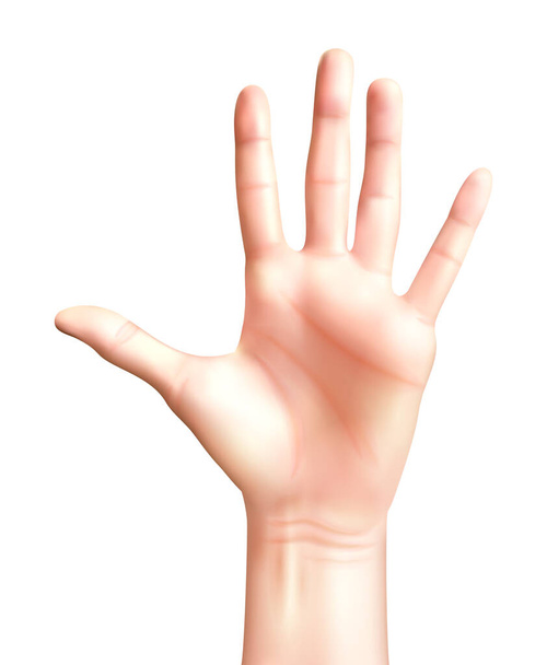 Реалистичная композиция с жестом подсчета рук, изолированным на пустом фоне векторной иллюстрации - Вектор,изображение
