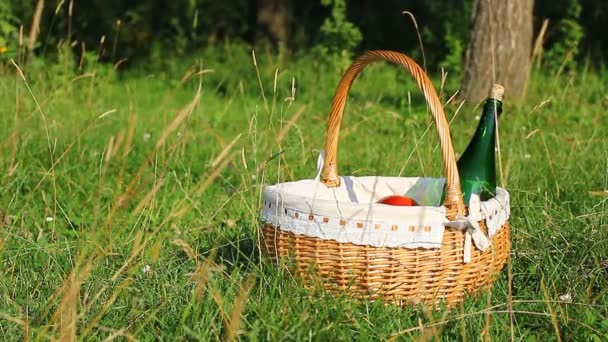 Güneşli bir günde yeşil çimenlerin üzerinde piknik sepeti. (Ntsc) - Video, Çekim