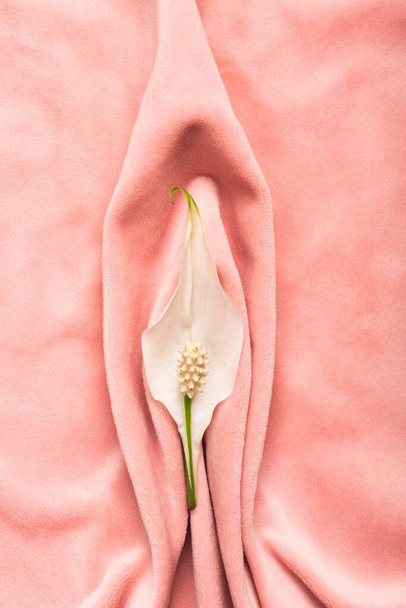 Рожева м'яка тканина у вигляді жіночих статевих органів, вульви та статевих губ, концепція піхви з тонкою квіткою. Високоякісна фотографія
 - Фото, зображення
