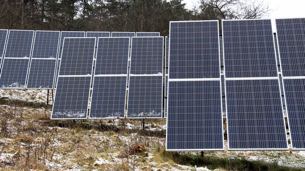 Panneaux préfabriqués pour absorber l'énergie solaire et la convertir en électricité ou en chaleur. - Photo, image