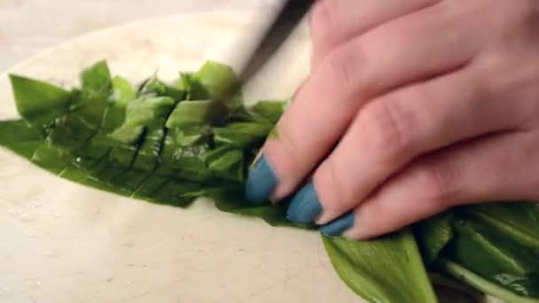 Frisches Gemüse schneiden - Filmmaterial, Video