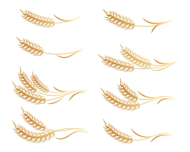 Set of logos from spikelets of wheat, rye, barley, golden design. Decor elements, icons, vector - Вектор,изображение