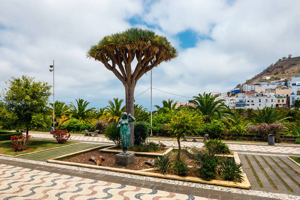 Beautiful garden in the centre of Arucas, Gran Canaria,  Spain. - Zdjęcie, obraz