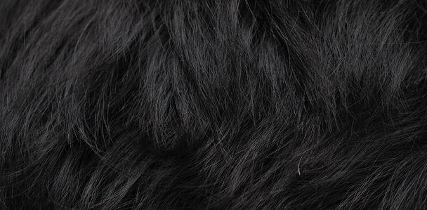 black dog fur with visible texture. background - Фото, изображение