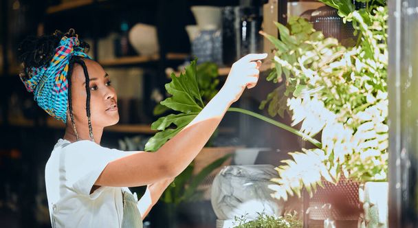 Kleinunternehmer, schwarze Frau und Unternehmerin als Floristin in einem Pflanzenladen im Garten einer Gärtnerei. Nachhaltigkeit, Wachstum und Ladenbesitzer arbeiten mit grünen Pflanzen in einem Gewächshaus-Start-up. - Foto, Bild