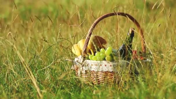 Güneşli bir günde yeşil çimenlerin üzerinde piknik sepeti. (Pal) - Video, Çekim
