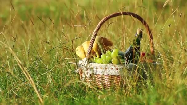 Piknik kori vihreällä ruoholla aurinkoisena päivänä. (NTSC
) - Materiaali, video