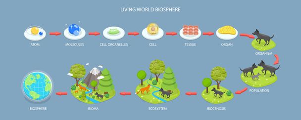 3D Isometric Flat Vector Conceptual Illustration of Living World Biosphere, Labeled Ecosystem Explanation Scheme Outline - Vektor, Bild