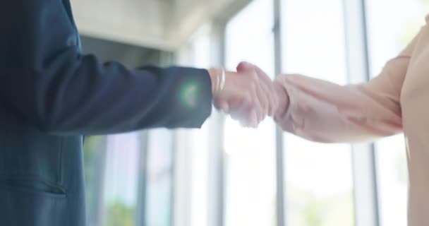 Partnership, collaboration and handshake of business people in office for deal or contract. Thank you, welcome and employees shaking hands for agreement, hiring or recruitment, b2b or negotiation - Video