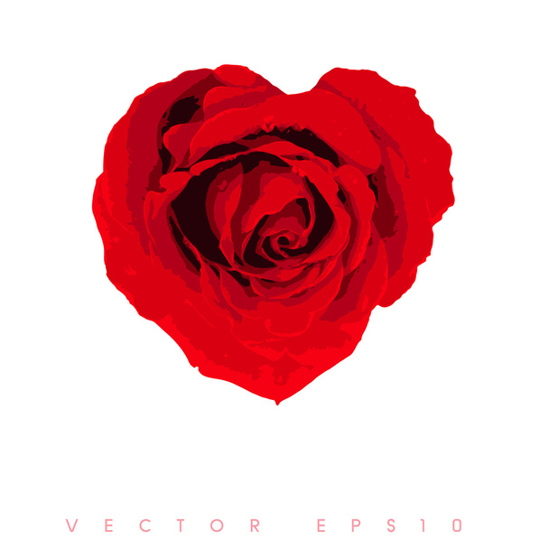 Vector - grunge heart of red roses - Vector, imagen