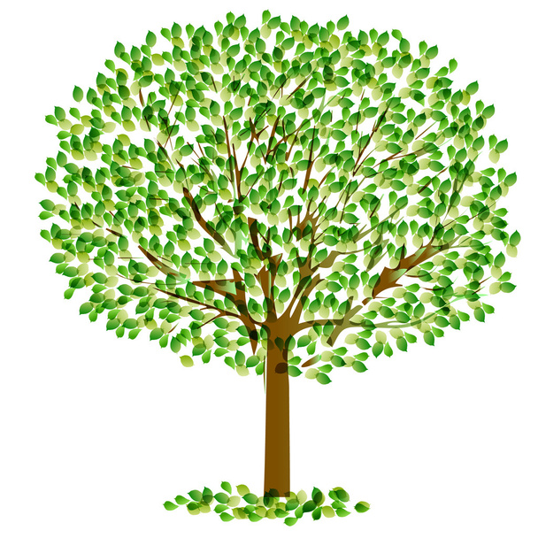Leaf tree fresh green - Vector, Image