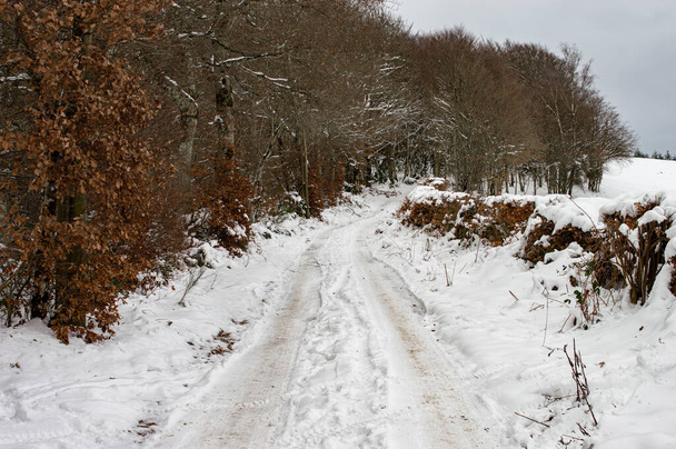 Paysage de campagne lors d'un jour de neiges - Foto, afbeelding