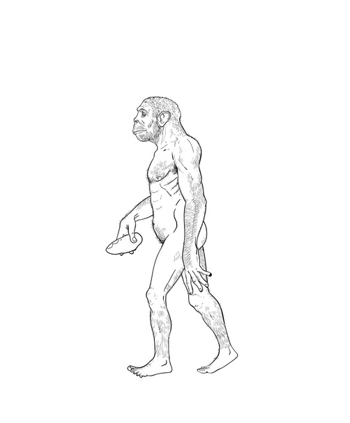 ilustracja ewolucji człowieka - Zdjęcie, obraz