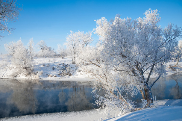 Invierno, marea invernal, invierno, hibernación, la estación más fría del año
 - Foto, imagen
