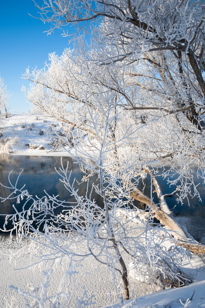 Inverno, marea invernale, inverno, ibernazione, la stagione più fredda dell'anno
 - Foto, immagini