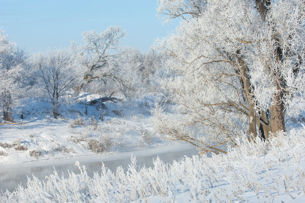 Invierno, marea invernal, invierno, hibernación, la estación más fría del año
 - Foto, imagen
