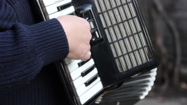 Piyano akordeon müzisyen - Video, Çekim