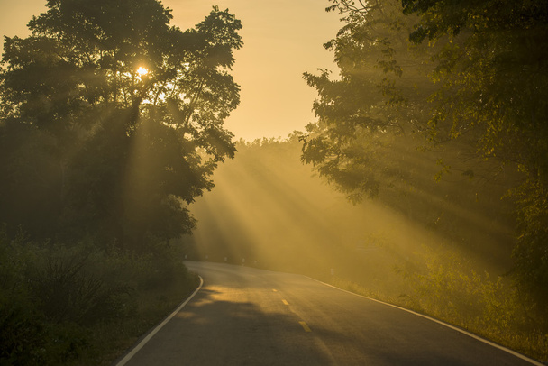 Backlight and sun flare long road in Thailand - Photo, Image