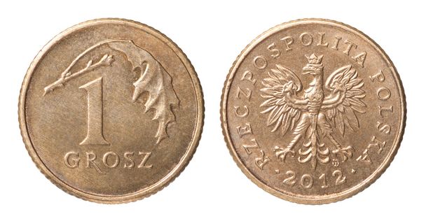 Ένα πολωνικό νόμισμα - Φωτογραφία, εικόνα