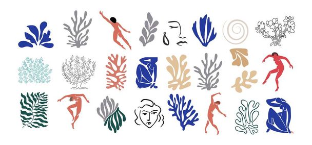 Set of abstract organic shapes, exotic jungle leaves, female nude silhouettes, algae in trendy Matisse inspired style. Contemporary art vector illustrations isolated on white background. - Vektor, obrázek
