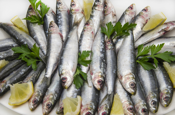 čerstvé sardinky - Fotografie, Obrázek