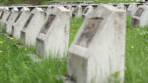 Red Army WWII Cemetery - Footage, Video