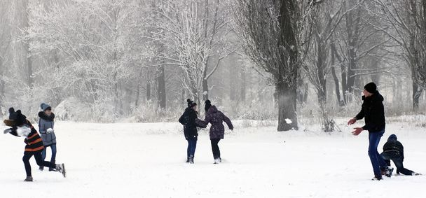 друзі розважаються взимку в зимовому парку
 - Фото, зображення