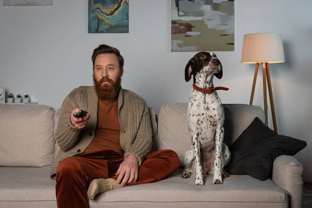 Бородатый мужчина в кардигане смотрит кино на диване возле далматинской собаки дома  - Фото, изображение
