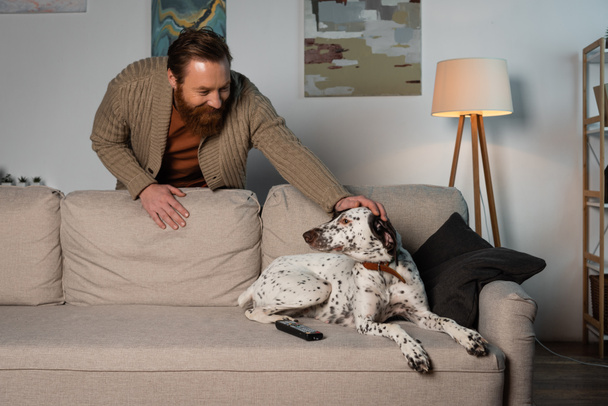Alegre barbudo hombre acariciando perro dálmata en sofá  - Foto, imagen