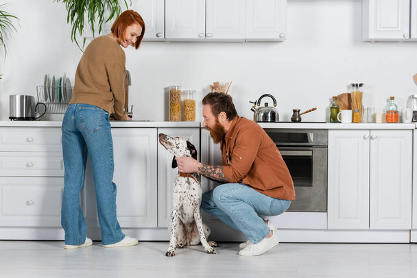 Cheerful woman looking at husband with dalmatian dog in kitchen  - Photo, Image