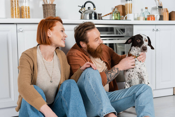 Smiling adult couple looking at dalmatian dog with collar in kitchen  - Foto, imagen