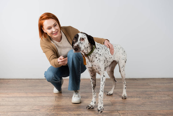 Uśmiechnięta rudowłosa kobieta przytulająca dalmatyńskiego psa w domu  - Zdjęcie, obraz