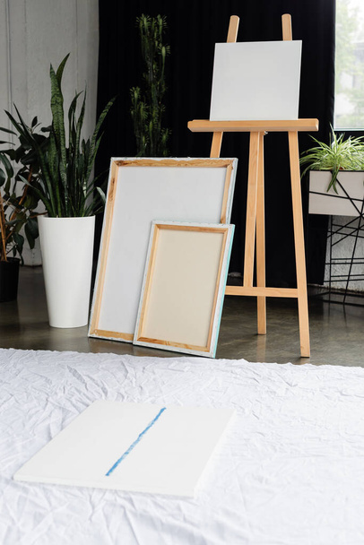 Canvases and wooden easel near plants in studio  - Foto, Imagem