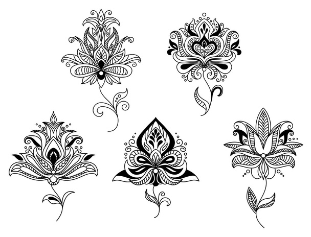 Elegant persian paisley floral elements - Vector, Image