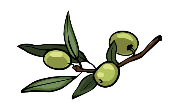 Vector olives - Vector, Image