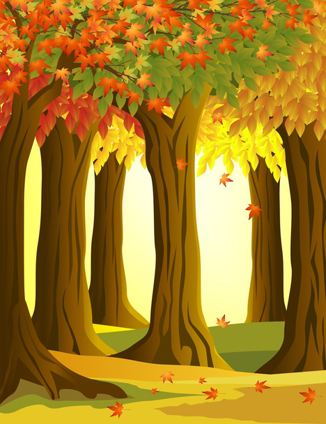 bosque de otoño - Vector, Imagen