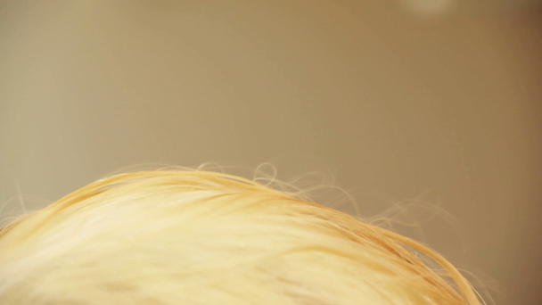 Kadeřník vysušuje vlasy v salonu krásy - Záběry, video