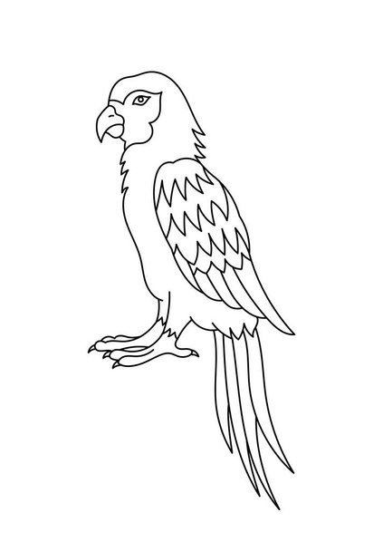 Ara macaws parrots bird. Editable outline stroke. Vector line illustration. Open paths. - Vektor, kép