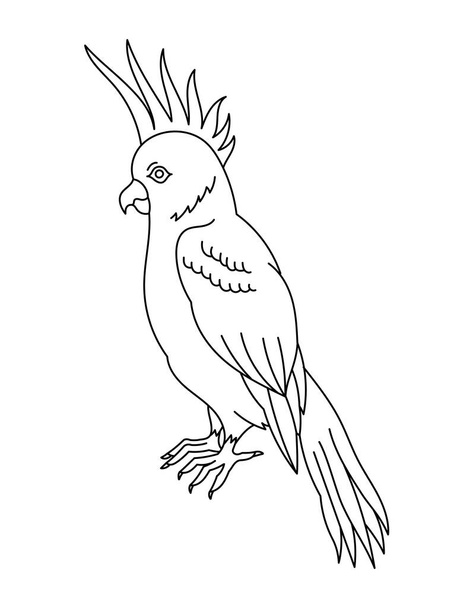 Cockatoo bird. Editable outline stroke. Vector line illustration. Open paths. - ベクター画像