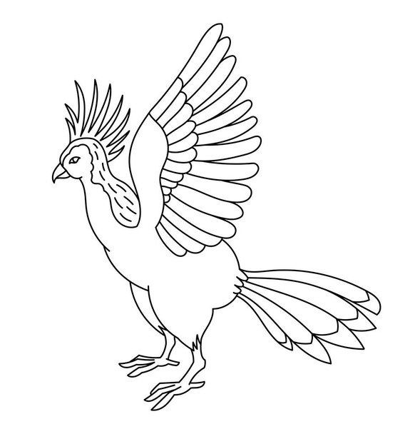 Hoatzin tropical bird. Editable outline stroke. Vector line illustration. Open paths. - Διάνυσμα, εικόνα