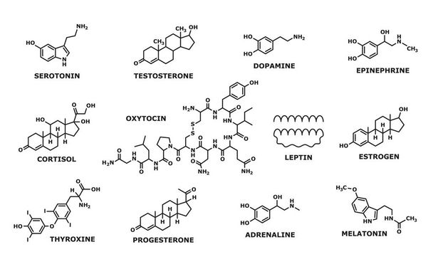 Hormone formula. Medicine, chemistry and biochemistry science research line symbols, human man and woman hormones formulas. Oxytocin and leptin, thyroxine, progesterone and adrenaline atom structure - Vettoriali, immagini
