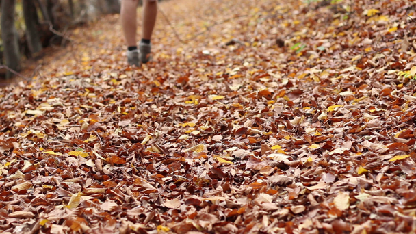 Pasos a través de las hojas de otoño en el camino
 - Imágenes, Vídeo