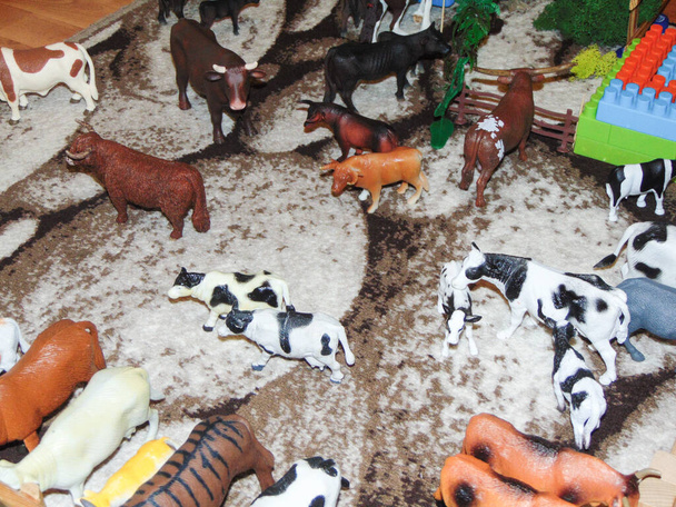 Group of toy cows arranged in a pen by a child from Romania - Foto, afbeelding