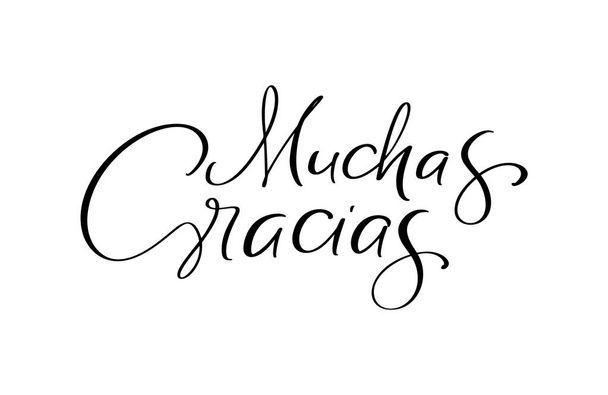Thank you vector lettering text in spanish Muchas Gracias. Hand drawn phrase. Handwritten modern brush calligraphy for invitation and greeting card, t-shirt, prints and posters. - Vector, Imagen
